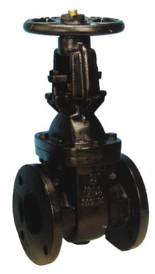 Cast Iron Gate Valve Rising Stem